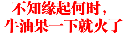 不知缘起何时,牛油果一下就火了