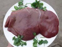 204_10