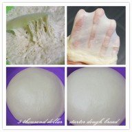 5 thousand dollar starter dough bread (1)